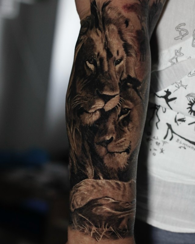 Aslan ailesi, kol – siyah-gri realizm dövme, Benjamin, InkBlaze Ankara