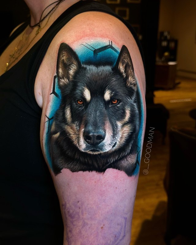 Köpek portresi – renkli realizm dövme, Alex Goodman, InkBlaze Ankara
